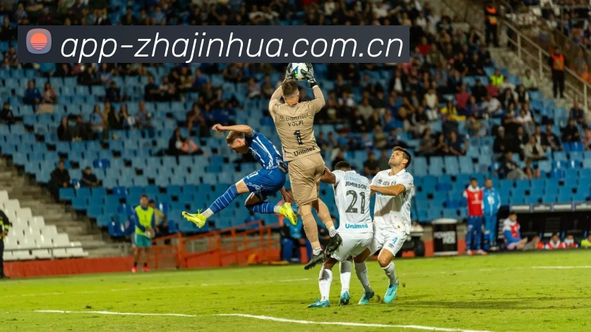 多媒体互动体验